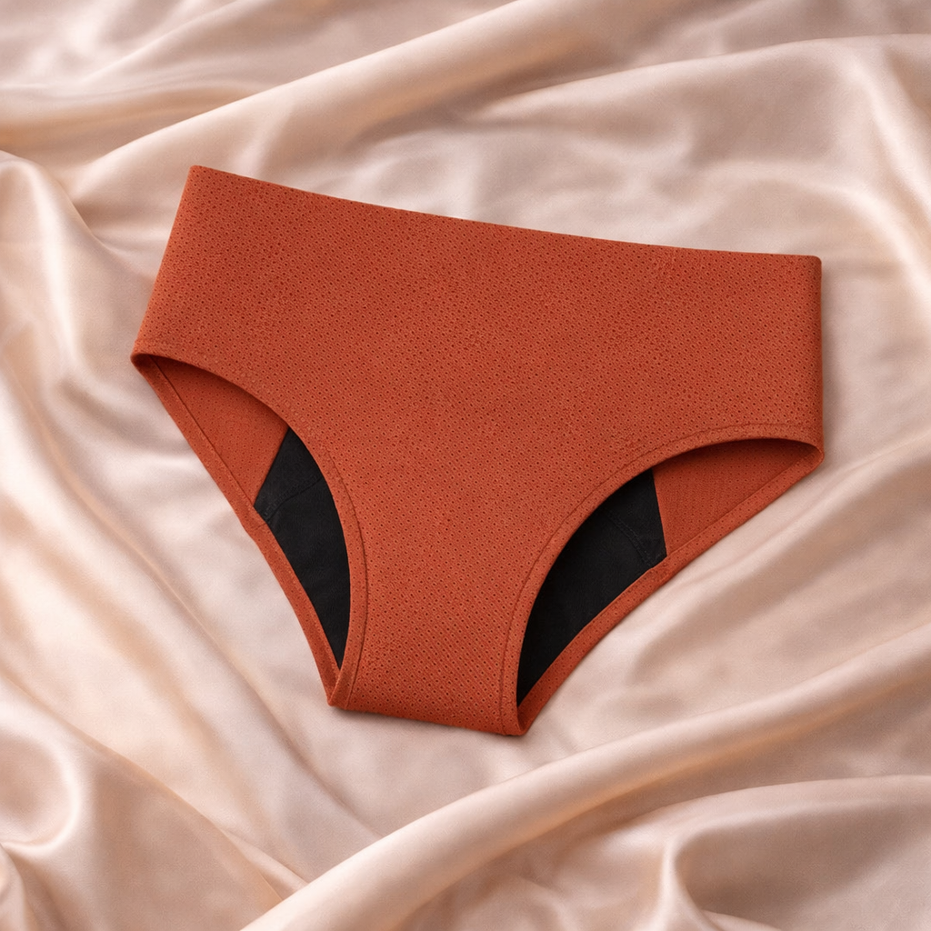 Packs 10 bragas menstruales sin costuras en 5 colores (flujo medio)